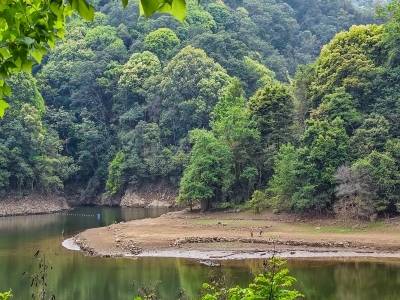 清明不止雨纷纷，河源雷暴、冰雹、狂风齐上阵