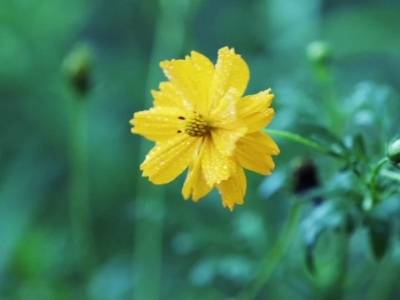 家国永念丨天地英雄气，千秋尚凛然