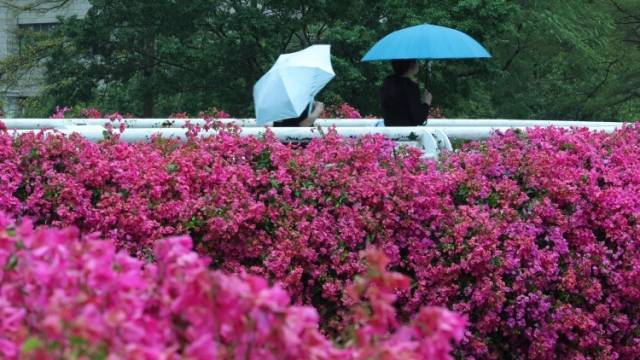 今日降雨集中在广东南部，清明假期全省多地将遭遇强对流天气｜天气早知道