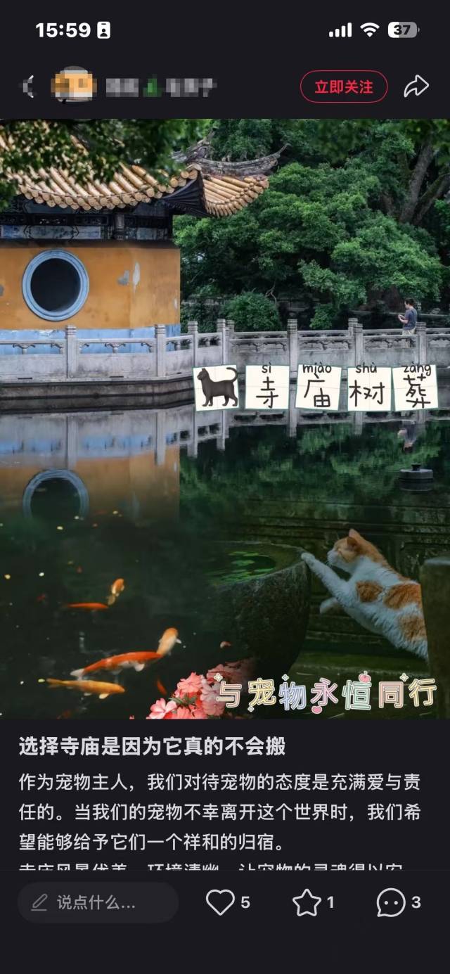 社交平台上有关寺庙树葬的广告主打“稳定性”。