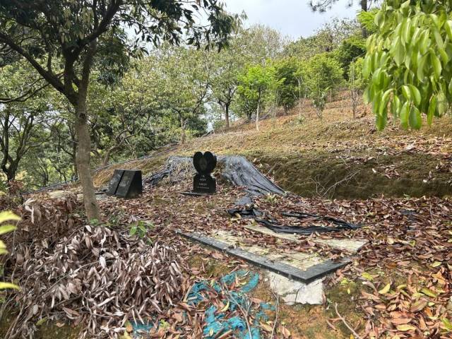 被编织袋遮住的墓地设有面积较大的卧碑。