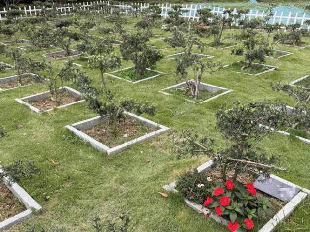 深圳梧桐山附近的宠物生命纪念林。