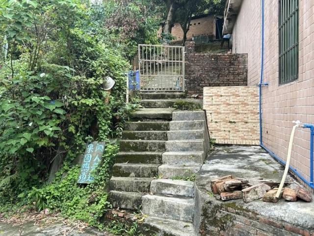 藏于果林的宠物墓园入口隐蔽。