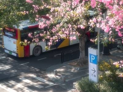 因被海外网友盗图而走红的广东大学生：计划拍摄粤港澳大湾区