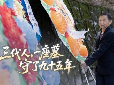 三代人，一座墓，守了九十五年