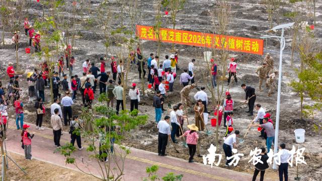 茂名市2026年开春植树活动。