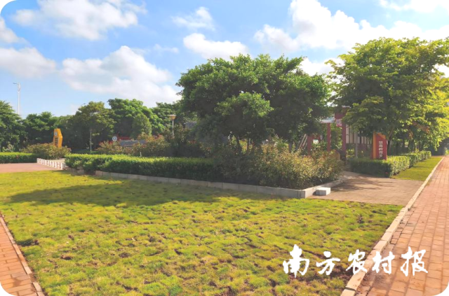 湖光镇绿美小公园一角，尽显生态宜居气质