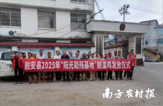融安县2025年“阳光助残基地”脱温鸡发放仪式。