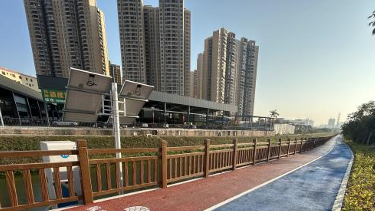 白云帮扶亮眼答卷！湛江麻章区3镇23村入选省“百千万工程”典型镇村