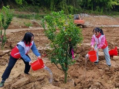 广东发布2026年第1号总林长令，聚焦广泛开展春季植树造林