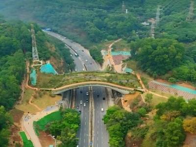 两项“深圳方案”获国际大奖