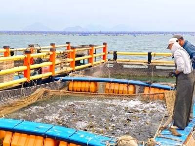 江牡岛海域凭什么能？｜海洋经济新动能看汕尾城区⑤