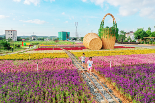 源城区埔前镇陂角村蔬香公园。