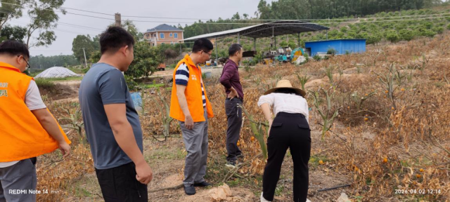 文俊家庭农场工作现场