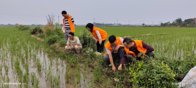 黎相柱水稻种植基地现场指导