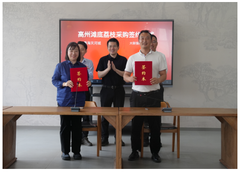 与大联强村公司签订荔枝销售合作框架协议