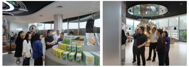 在柏桥服务区“未来馆”“奥莱驿站”调研