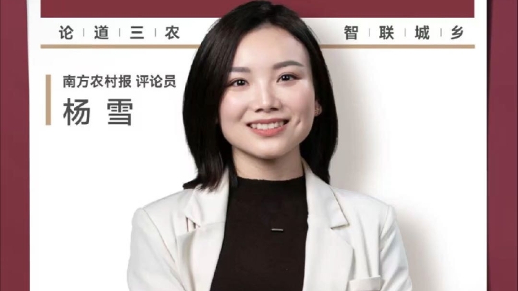 兴农评丨粮款24小时到账 守护农民“卖粮钱”