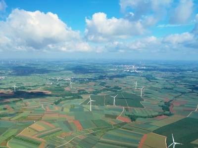 超35万亩“菠萝的海”，广东徐闻“菠萝家族”的百年接力｜广货行天下