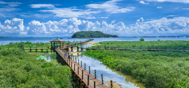 广东海陵岛红树林国家湿地公园游客络绎不绝  