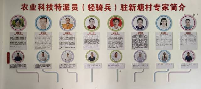 农业科技特派员(轻骑兵)驻新塘村专家