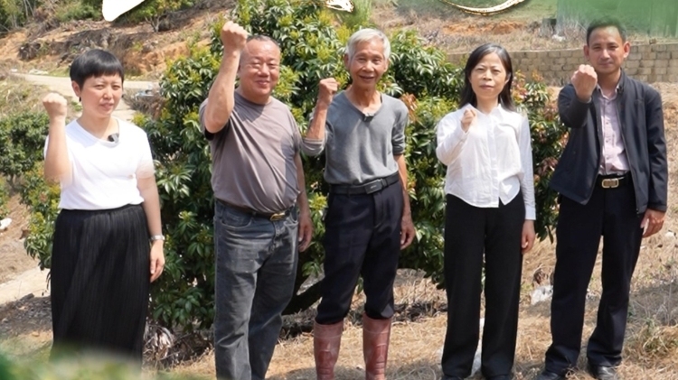 视频｜古荔将红南国，广东三级协同守护
