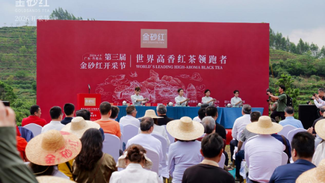 打造世界高香红茶！2026年金砂红开采节在韶关仁化举行