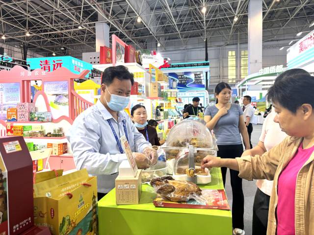 群众品尝五指毛桃鸡。