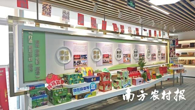 麻章（白云）飞地展厅