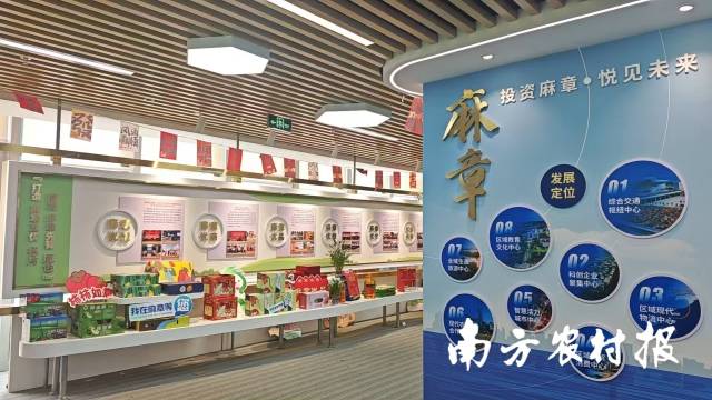 麻章（白云）飞地展厅