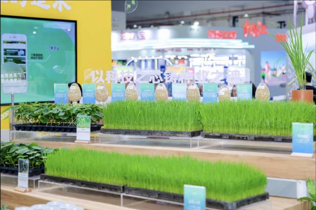 从一颗种子到一碗香饭，供销全链条服务保驾护航。 