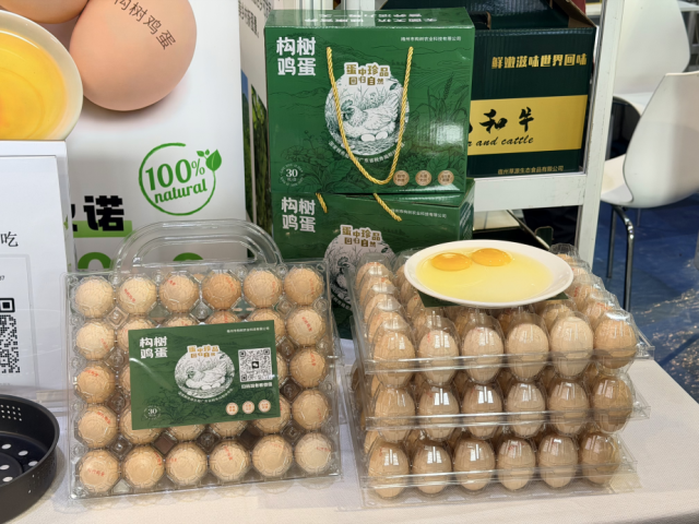 五华县横陂镇的“构树鸡蛋”。