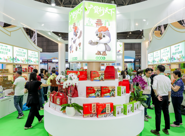 展馆内“Gida”身影随处可见。