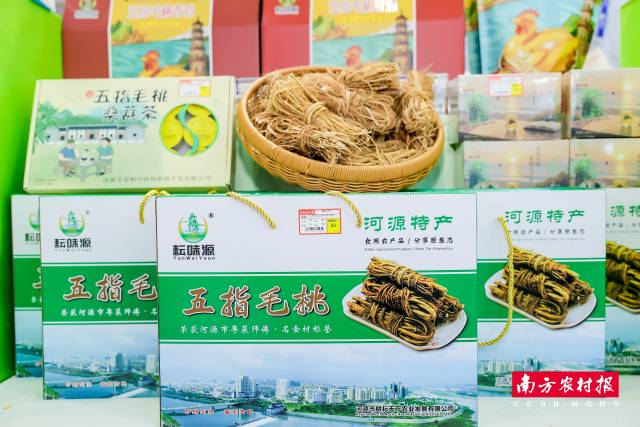 河源五指毛桃。  