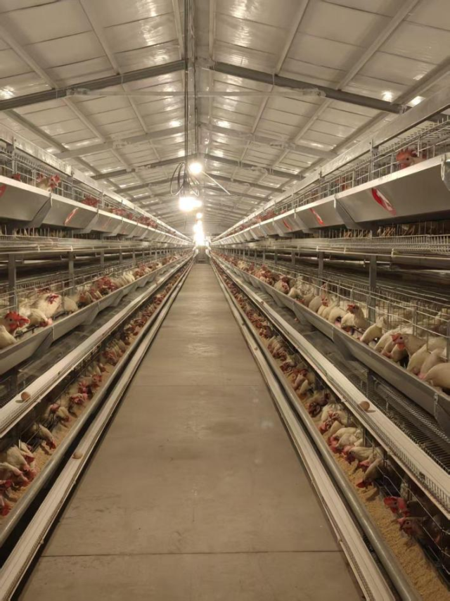 横陂镇乡村振兴帮扶车间。受访者供图