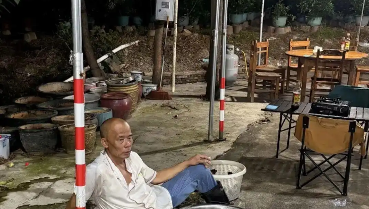 快评丨莫氏鸡煲，流量时代的“吃鸡”狂欢
