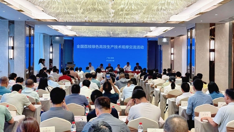 全国荔枝绿色高效生产技术观摩交流活动在东莞举办