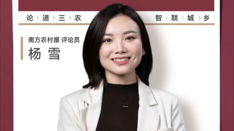 兴农评丨禁止大数据杀熟 平台别想再“任性”