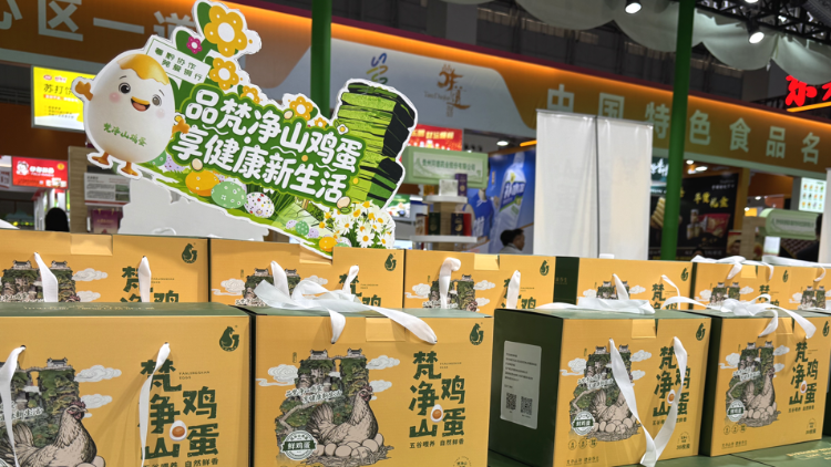 莞铜协作三博会上“孵”金蛋，“梵净山鸡蛋”标准权威发布