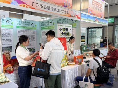 从帮扶车间到湾区展会，驻镇工作队携“土特产”亮相“三博会”