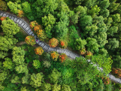 广州天河：以生态保护举措，串联生态绿色脉络