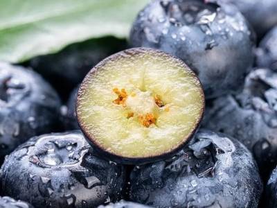 价格大跳水！“蓝莓自由”在这个春天刷屏了