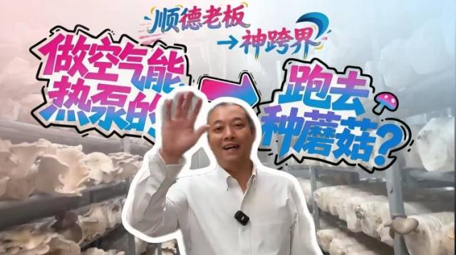 视频｜顺德这位老板，“跨”到方舱里种蘑菇