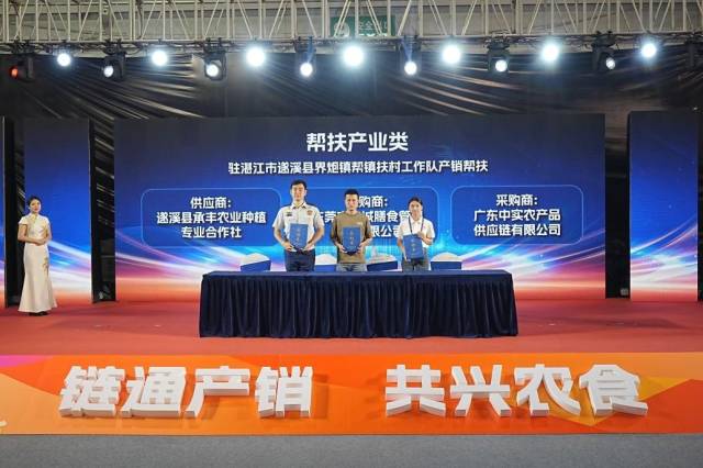 遂溪县承丰农业种植专业合作社与两家公司现场签署《意向采购协议》。柯学潜 摄