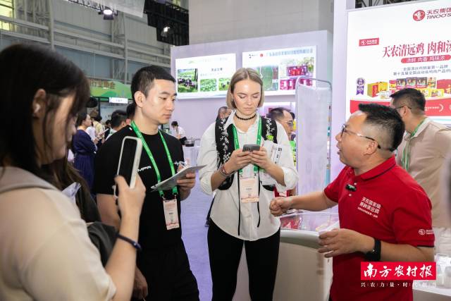 清远鸡还吸引了不少国际客商的关注。