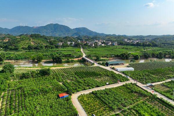 广西钦州城乡融合发展试验区双良现代农业产业示范园