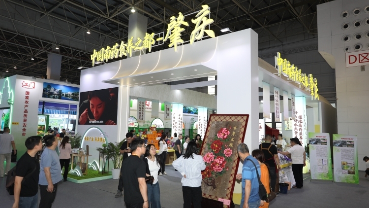 肉桂、沉香大受欢迎！“中国南药食养之都”闪耀三博会