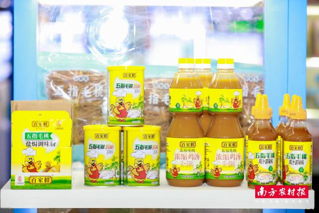 五指毛桃调味品。  吴秒衡 摄