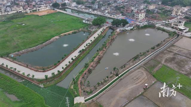    通讯员 高新 供图