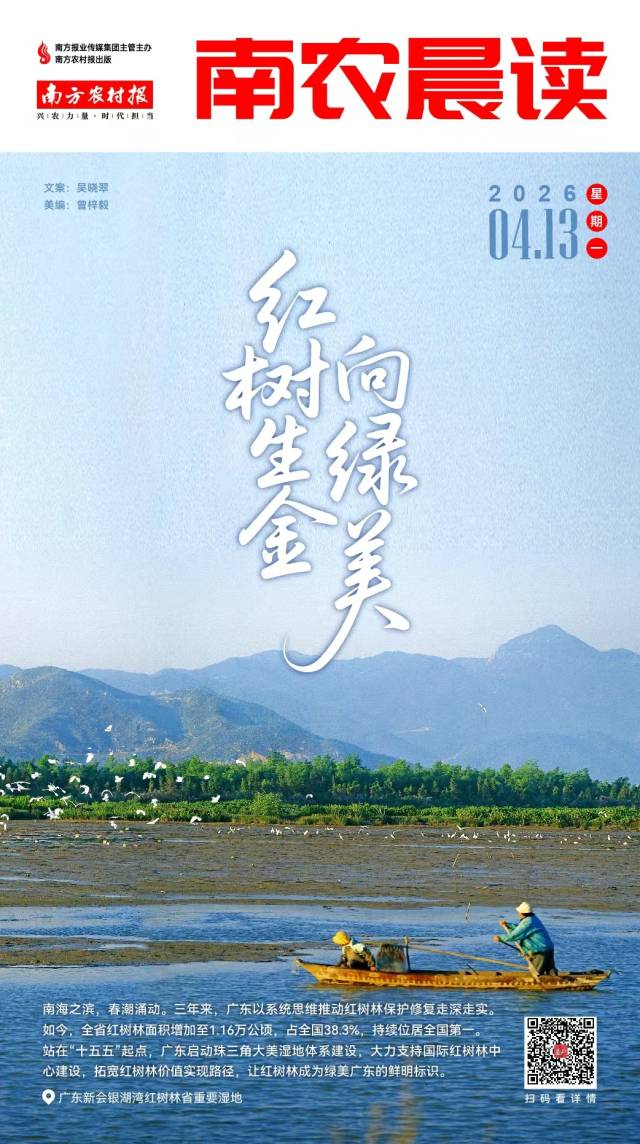 南方农村报 巢芮 制图